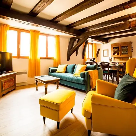 Residence Des Tanneurs - Sylvaner Obernai Buitenkant foto