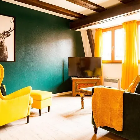 Residence Des Tanneurs - Sylvaner Obernai Buitenkant foto